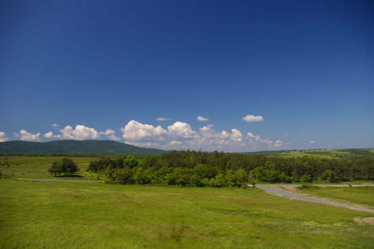 Вид на запад с мансардной террасы виллы Дуо, лес всего в 200 метрах.